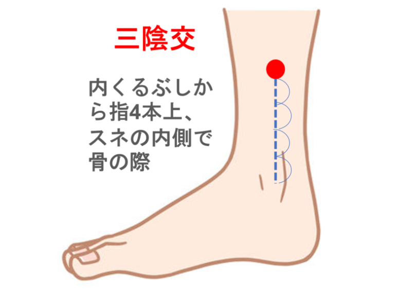 三陰交 | ままの森鍼灸マッサージ院
